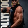 HollywoodhogaN