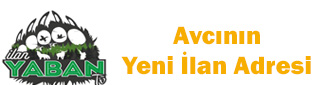 BANNER1_1.jpg