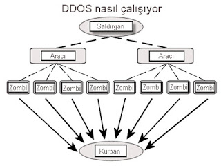 Ekran+Al%C4%B1nt%C4%B1s%C4%B1.png